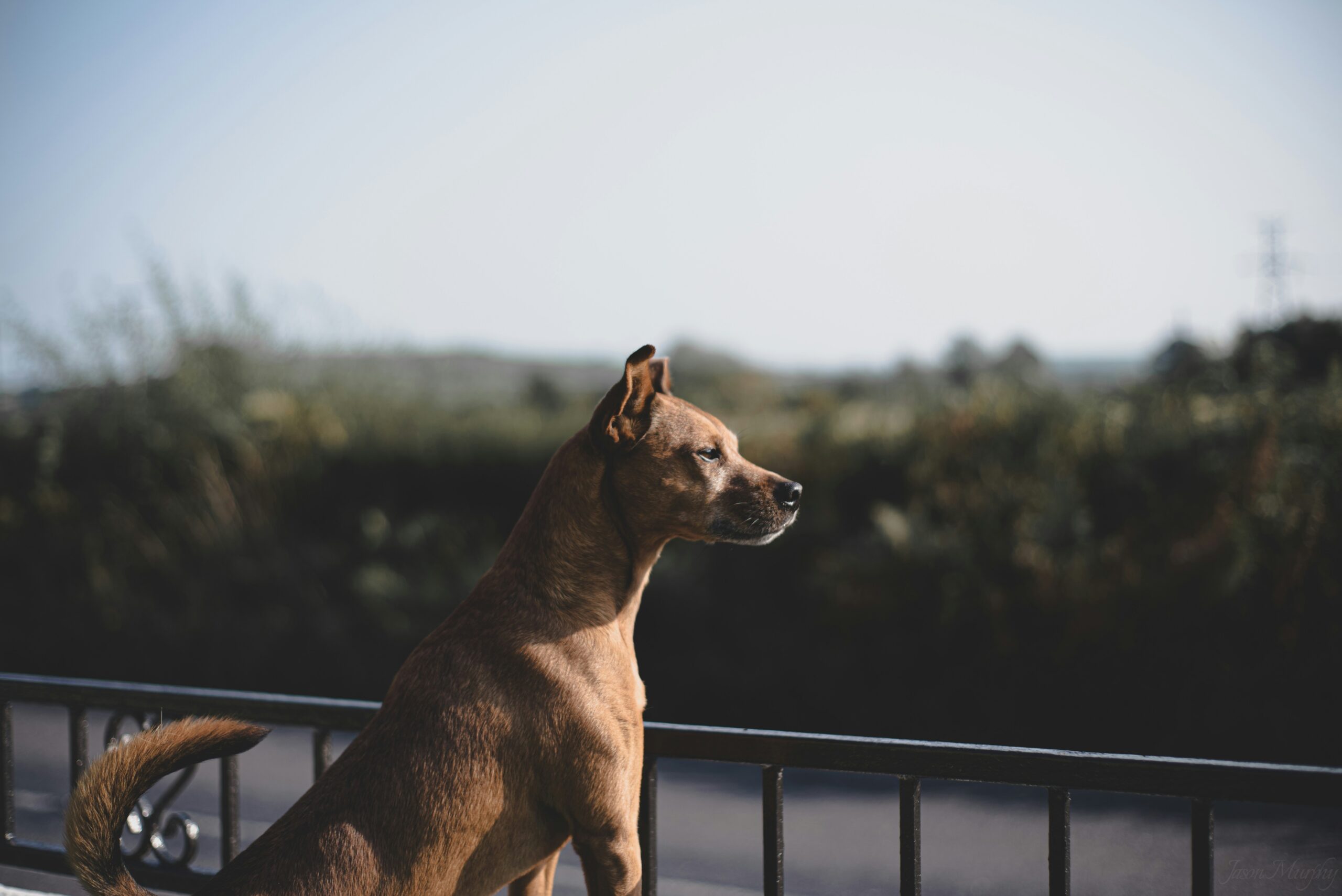Beat the Heat: Signs of Overheating and How to Prevent It