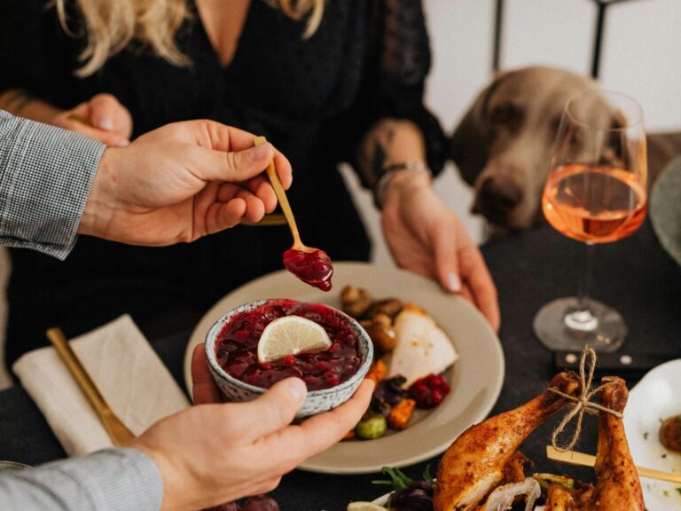 Summer food for dogs