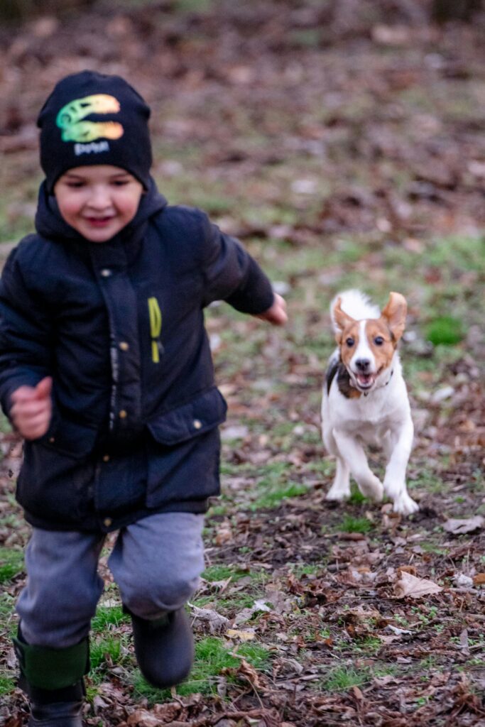 Training Tips for Families With Kids and Dogs
