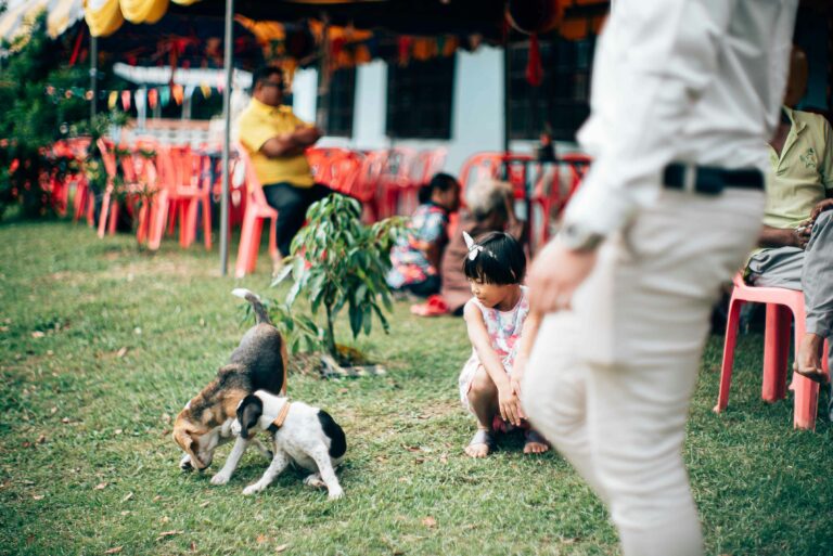 Training Tips for Families With Kids and Dogs