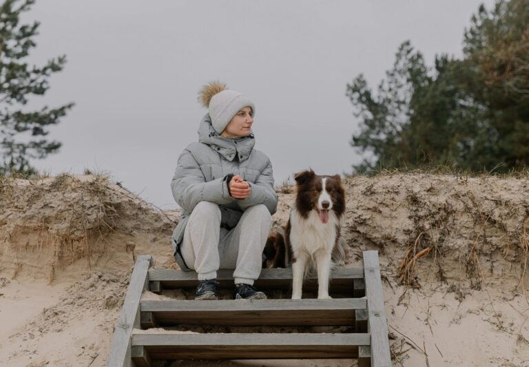 Holiday Season: Amazing Dog Travel Tips Every Owner Needs