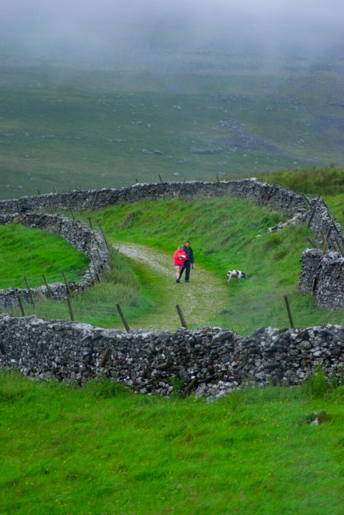 Veterans Special: The Incredible Impact of Dog Training on PTSD