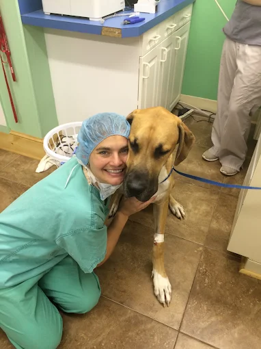 What Your Dog’s Wellness Exam Reveals About Their Training Progress