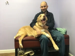 What Your Dog’s Wellness Exam Reveals About Their Training Progress