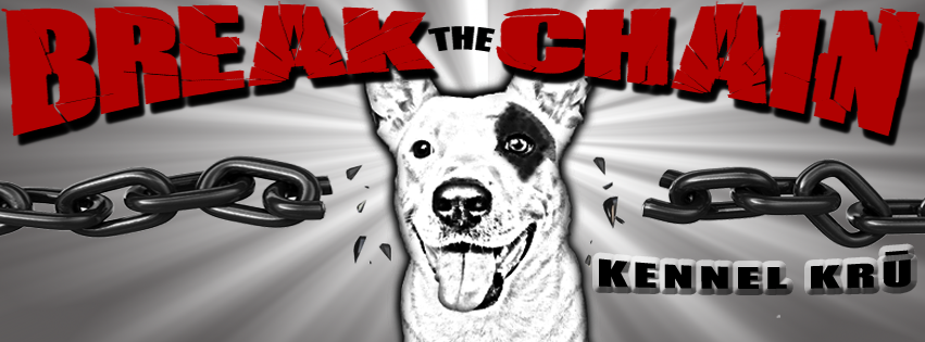 Outdoor kennel safety setup with a dog calmly resting on place outside