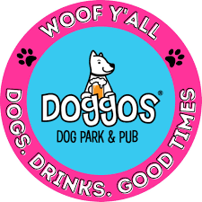 Dog park training session with a dog practicing recall and focus near distractions in North Carolina