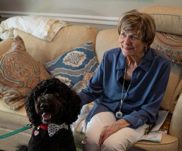 Handler practicing therapy dog training with a calm dog on place in a public setting