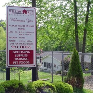 Dog boarding training practice with a dog holding place calmly before drop-off
