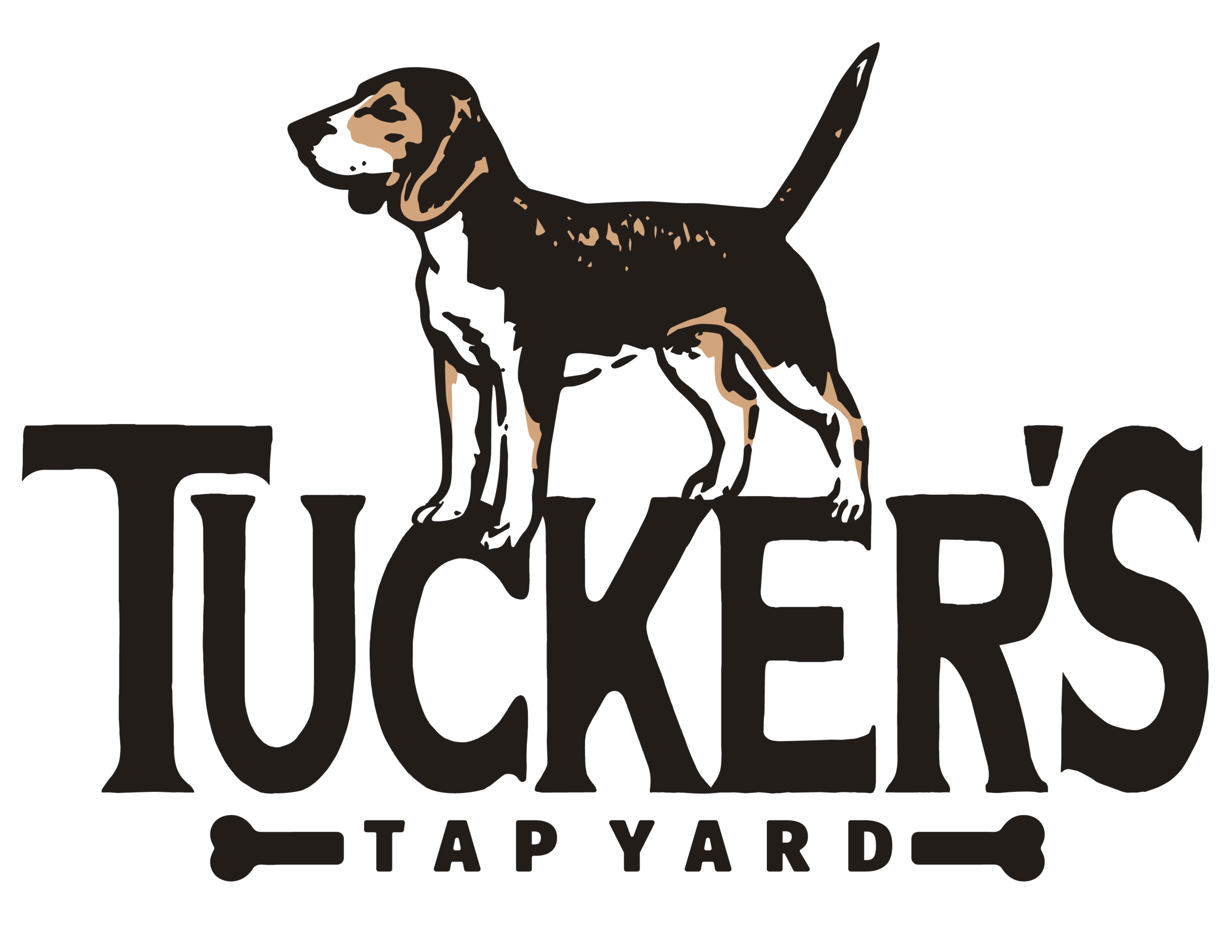 Dog park training practice with a dog holding a calm sit before entering a Winston-Salem dog park