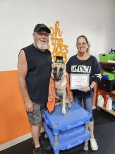 Duke practicing better obedience and command consistency after a 1-week board and train in Winston-Salem, NC.
