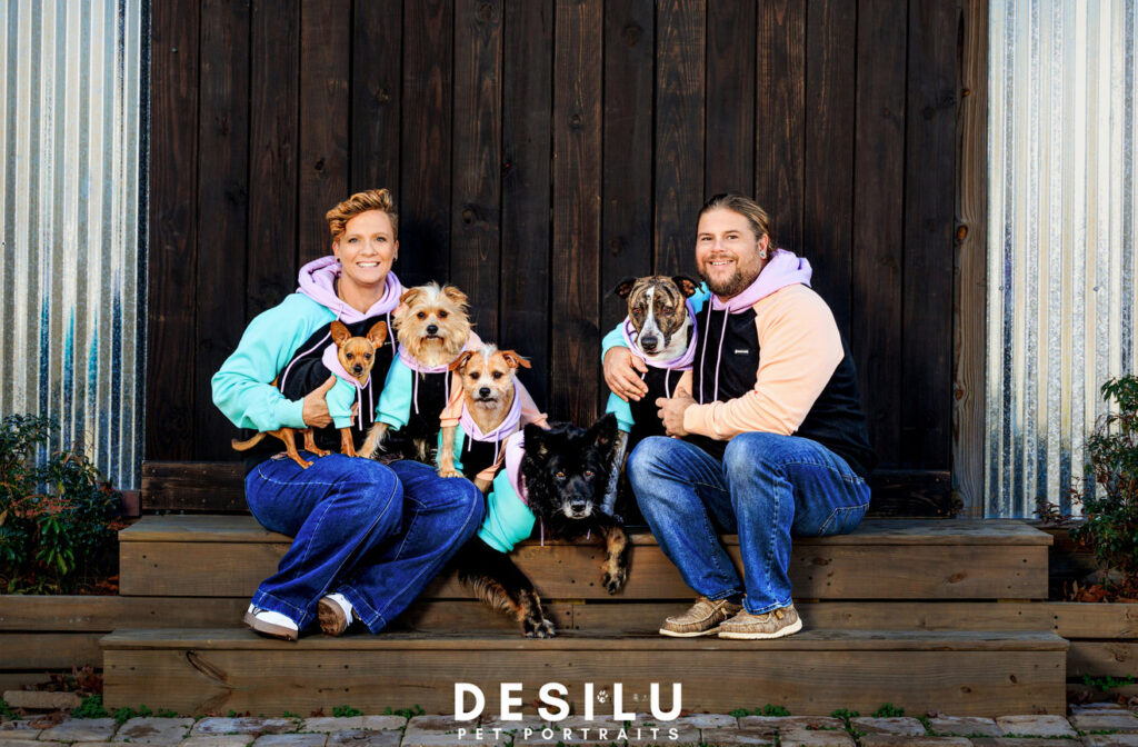 Photo session training with a dog calmly holding sit during a pet portrait session in Winston-Salem