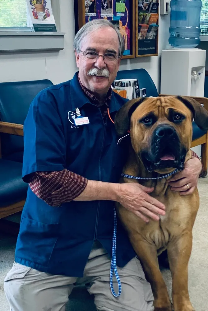 Wellness visit training with a dog calmly practicing handling before a vet appointment in Winston-Salem