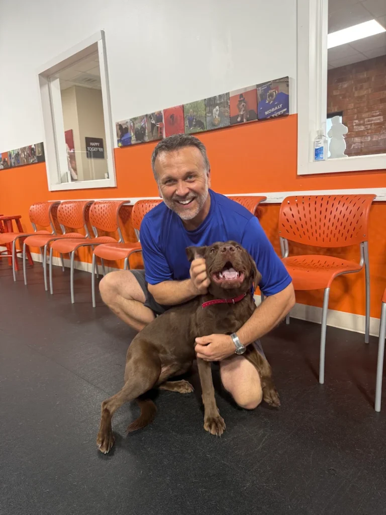 Maple practicing heel walking and basic obedience with her owner in Winston-Salem, NC while improving leash manners, reactivity, focus, and confidence.