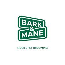 Mobile grooming training with a calm dog practicing handling in Winston-Salem NC