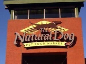 Dog scent work training with an owner in Winston-Salem, North Carolina