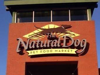 Dog scent work training with an owner in Winston-Salem, North Carolina