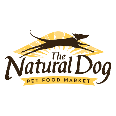 Dog scent work training with an owner in Winston-Salem, North Carolina