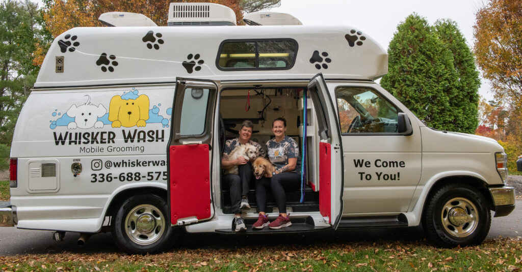Dog grooming preparation with a calm dog practicing handling in Winston-Salem NC